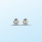 OVAL STUDS