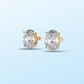 OVAL STUDS